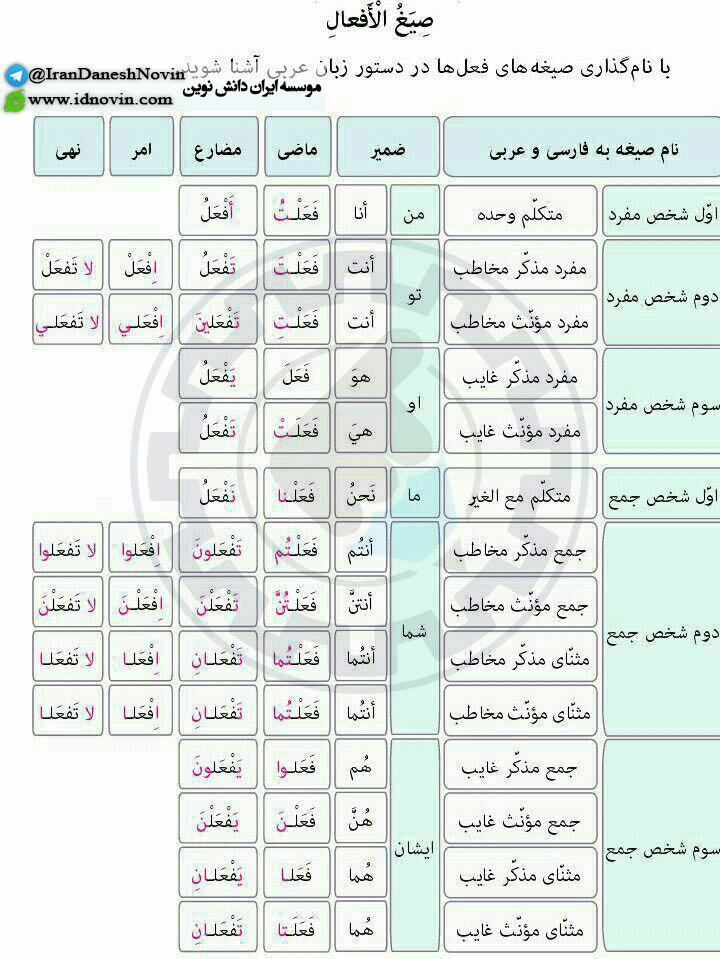 تمام صیغه های فعل های زبان عربی در یک نگاه