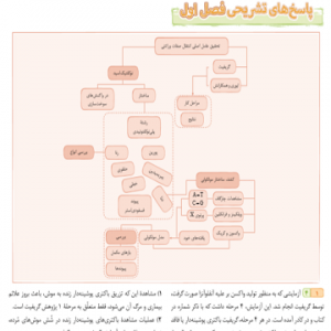 کتاب زیست دوازدهم میکرو گاج